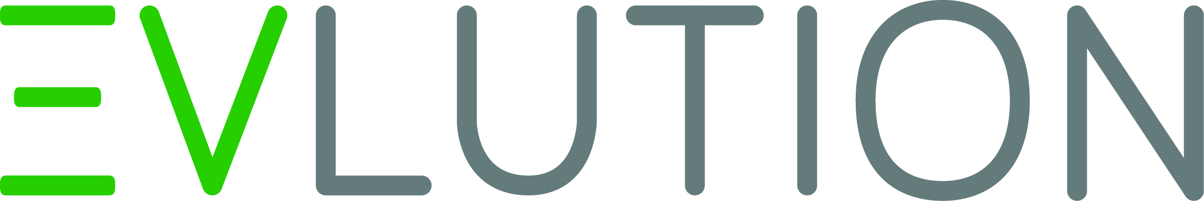 Organisation Logo - EVLUTION Point Ltd
