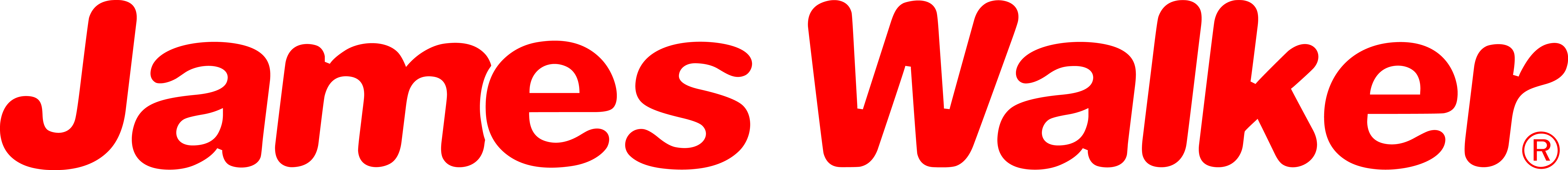 Organisation Logo - James Walker Sealing Products Ltd