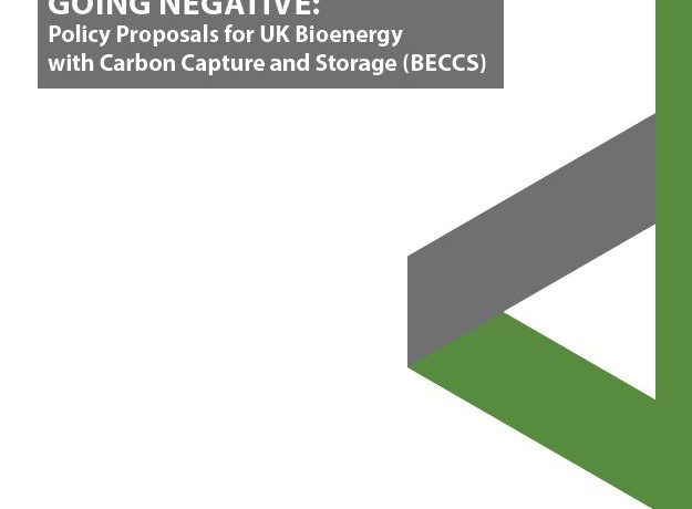 Going Negative: Policy Proposals for UK Bioenergy with Carbon Capture and Storage (BECCS)