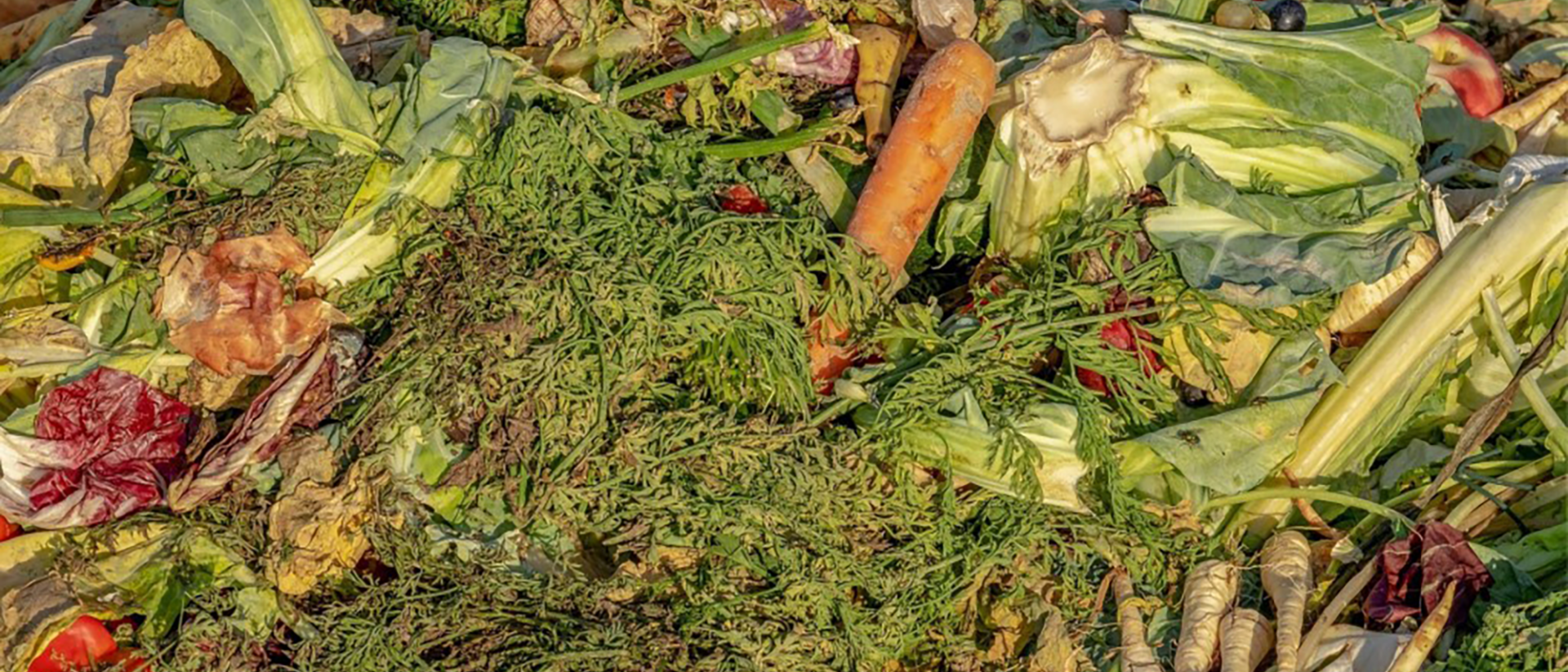 BIOWASTE
