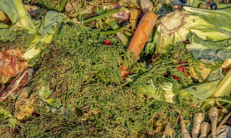 Moving towards a more Circular Economy