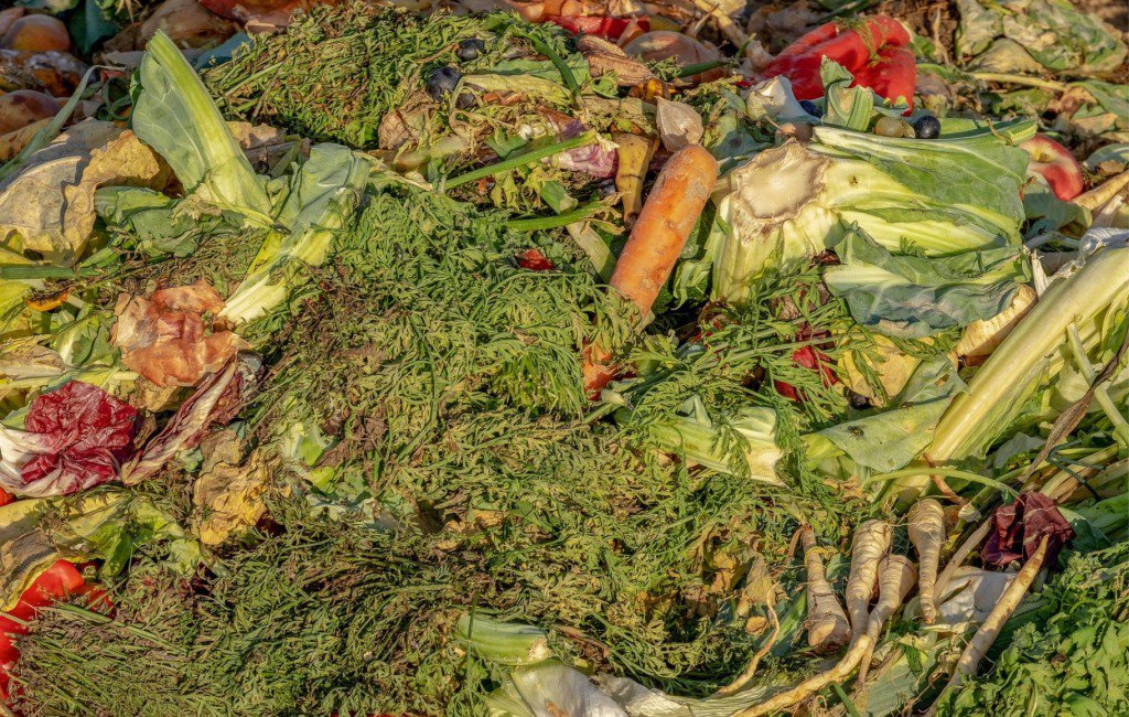 BIOWASTE