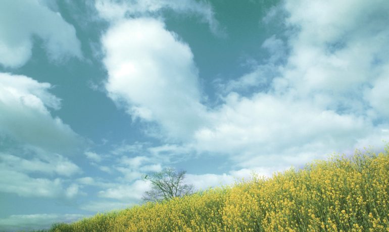REA response to England Peat Action Plan