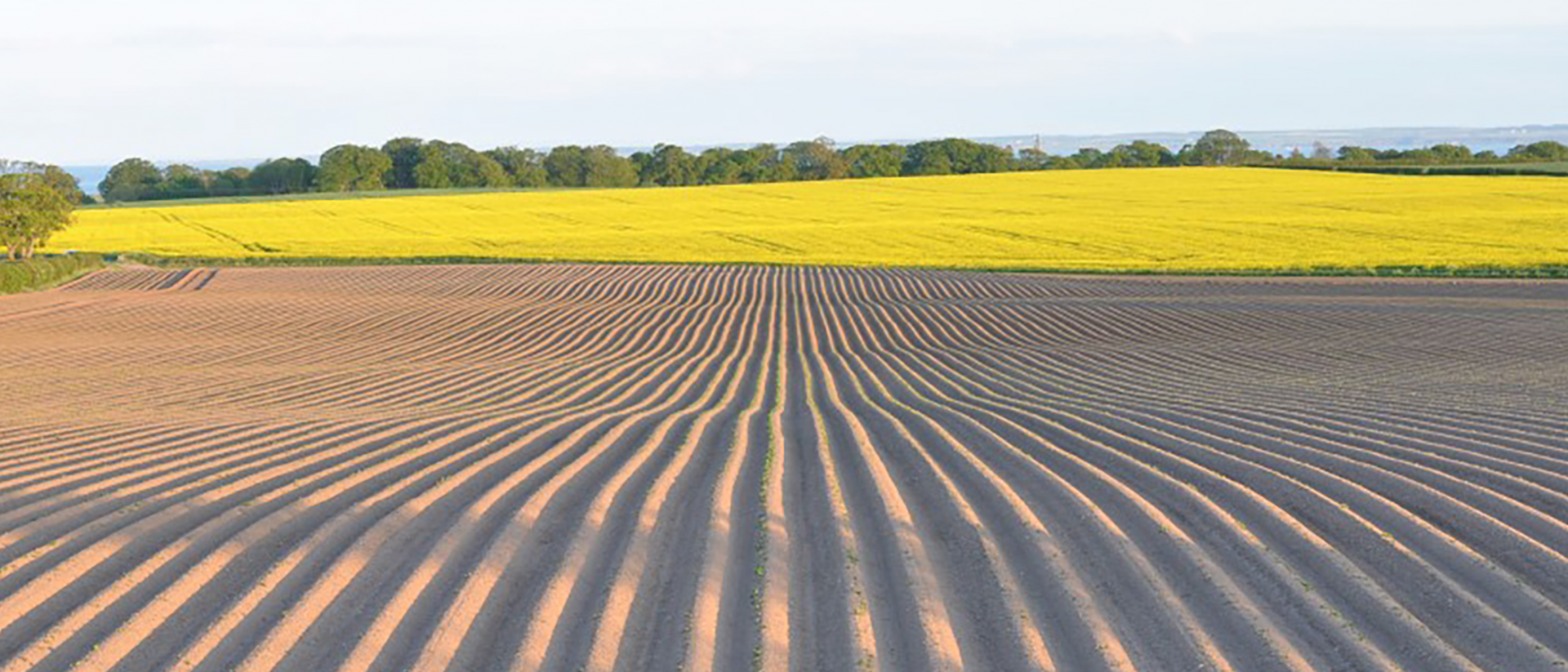 SOILS-NATURAL-CAPITAL
