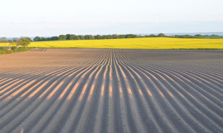 SOILS – NATURAL CAPITAL