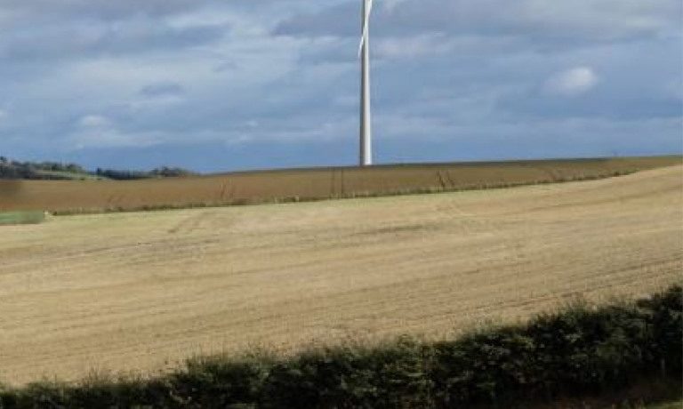 REA comments on CfD auction results