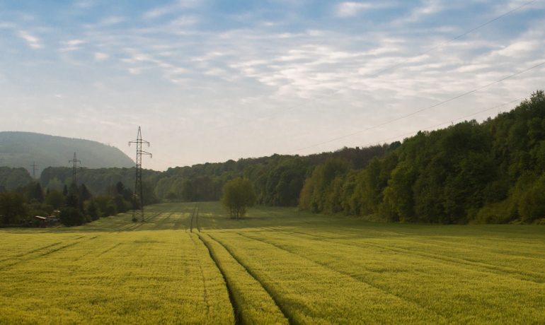 BECCS critical to achieving a net zero Britain