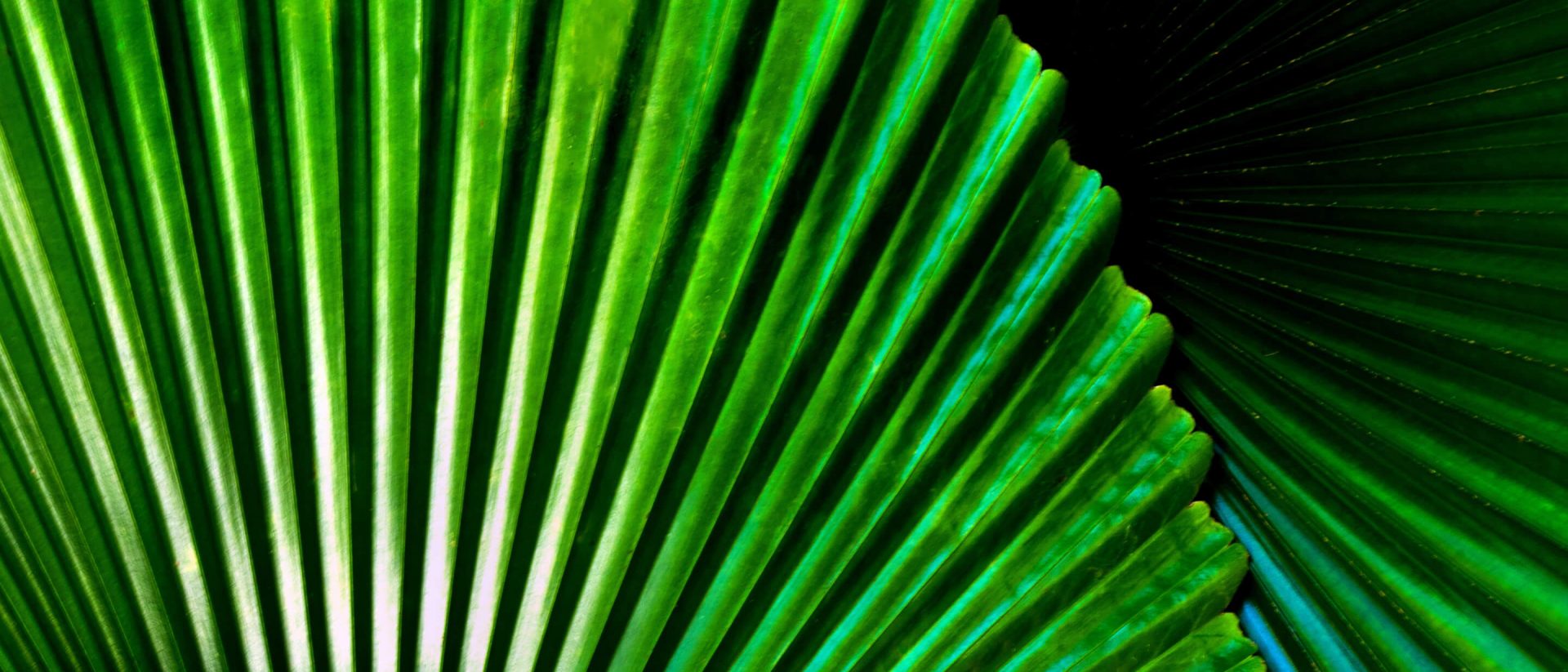 slider-image4