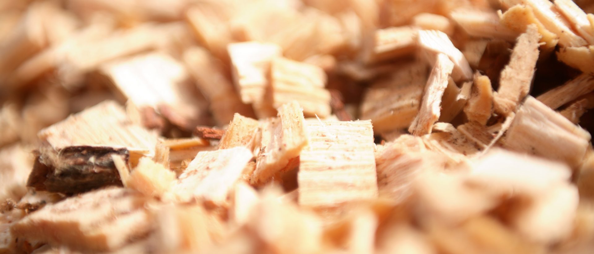 woodchip 3