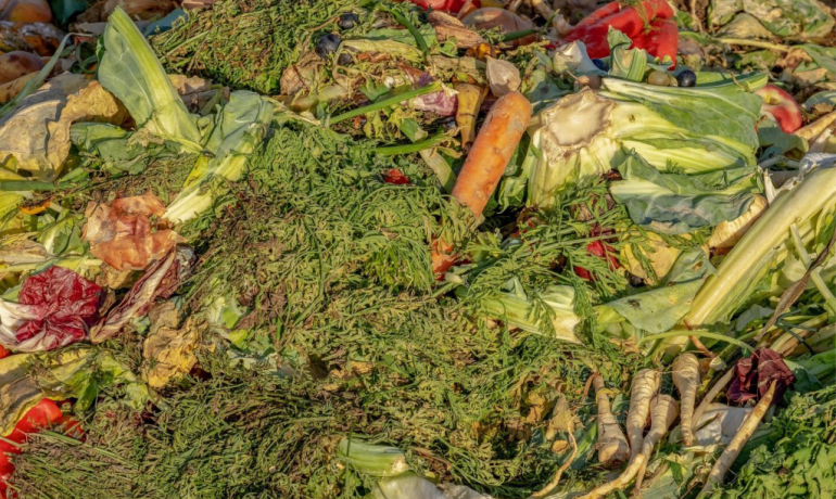 BIOWASTE RECYCLING