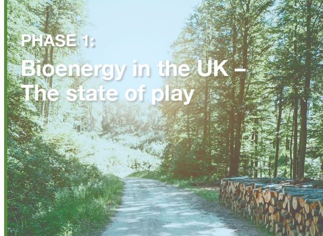 REA Bioenergy Strategy: Phase 1