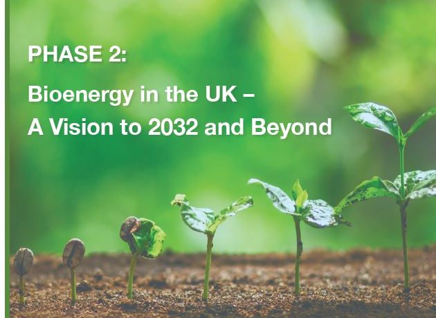 REA Bioenergy Strategy: Phase 2