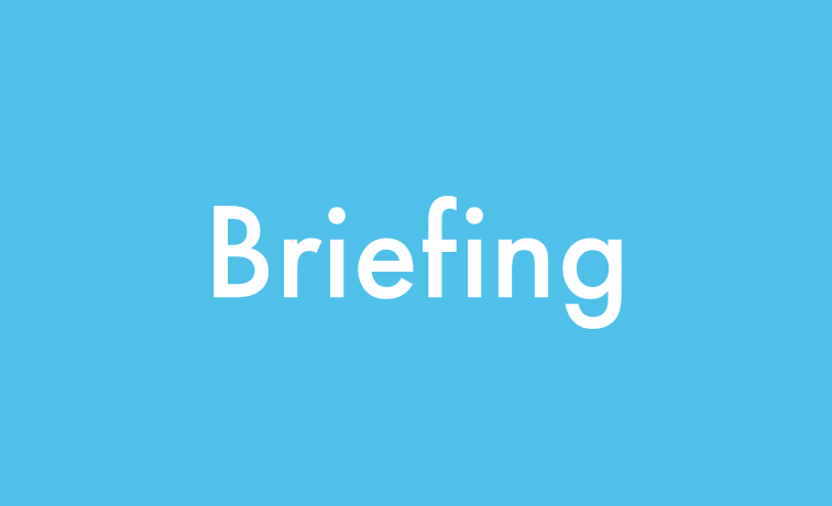 REA Member Briefing: CMP393 Grid Code Modification Rejected