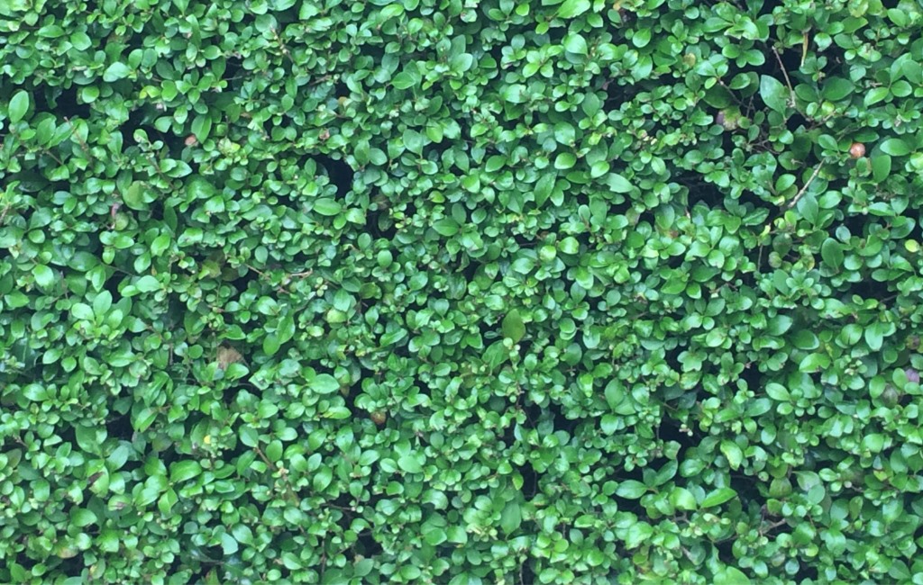 GREEN FINANCE 2 small