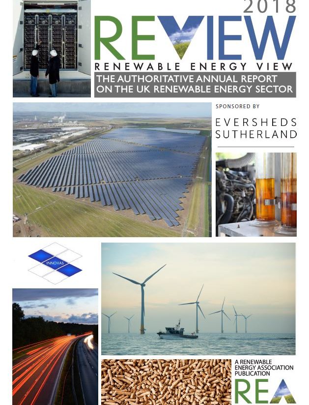 REA REview 2018 cover