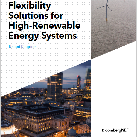 Flexibility Solutions for High-Renewable Energy Systems