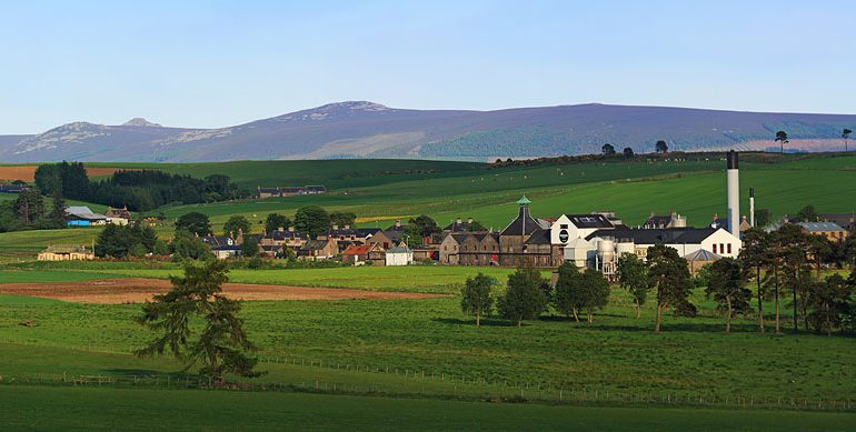 WhiskHy – Toasting a Net Zero future
