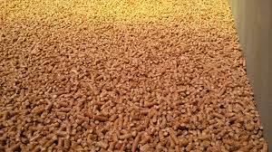 Member’s Briefing: Wood pellets, chips significantly reduce GHG emissions compared to heating oil, study shows