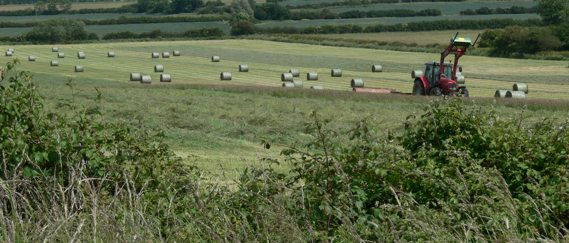 sustainable farming stock