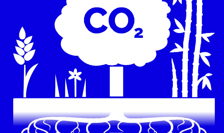 REA response to call for evidence on the expansion of the Carbon Capture Readiness (CCR) requirements