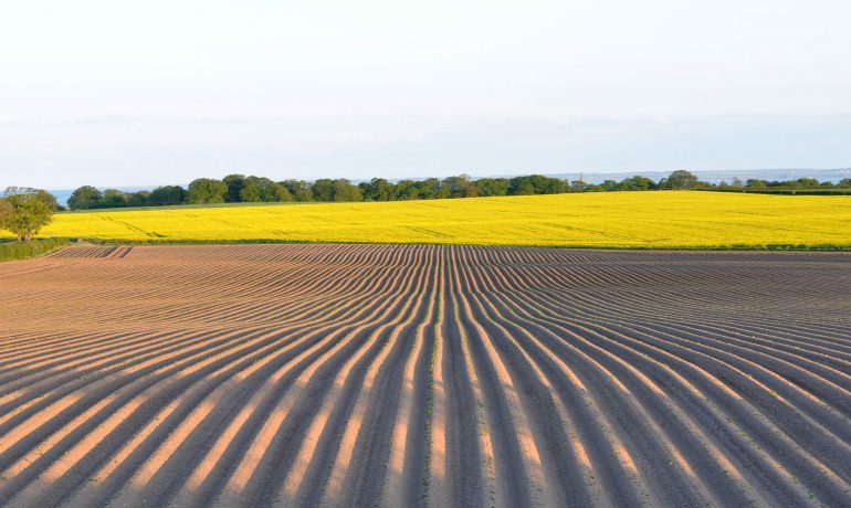 Finalists have been shortlisted for REA’s British Renewable Energy Awards 2024