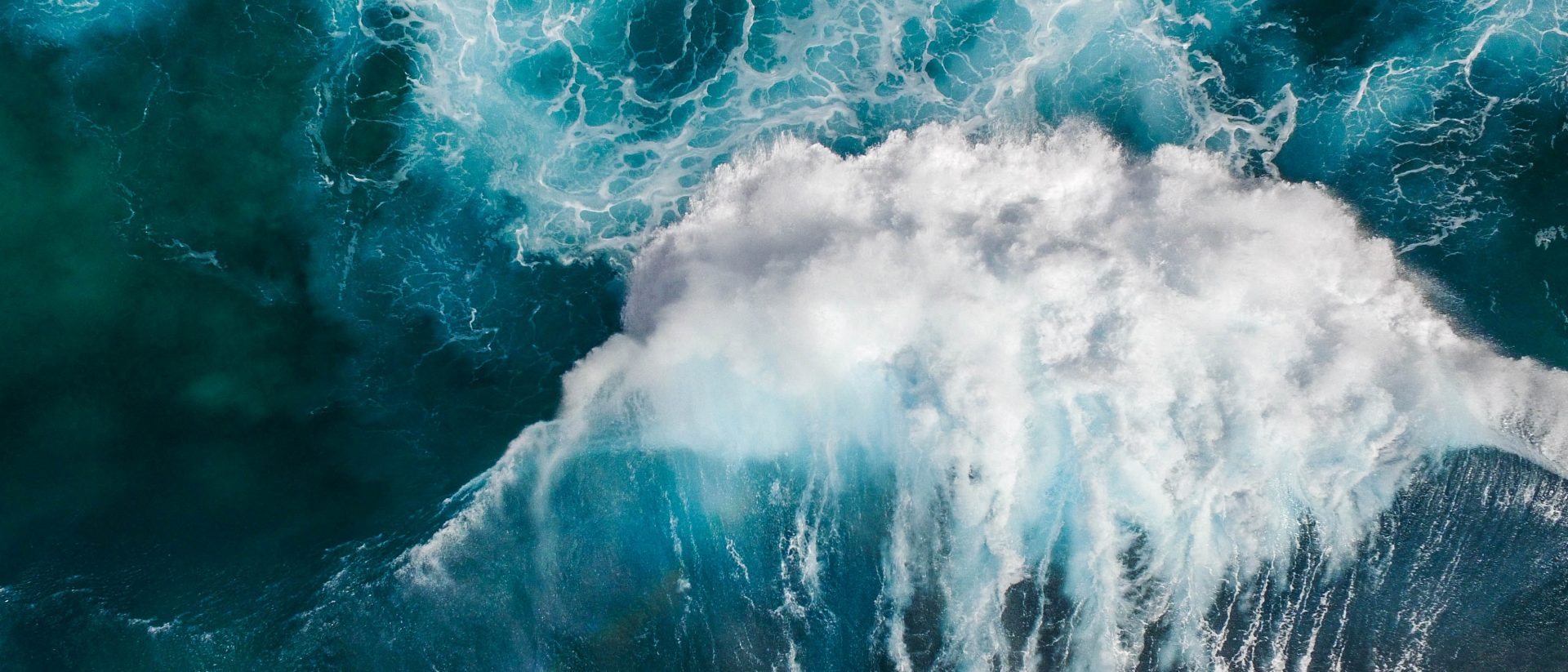michael-olsen–djS1aPrSr4-unsplash