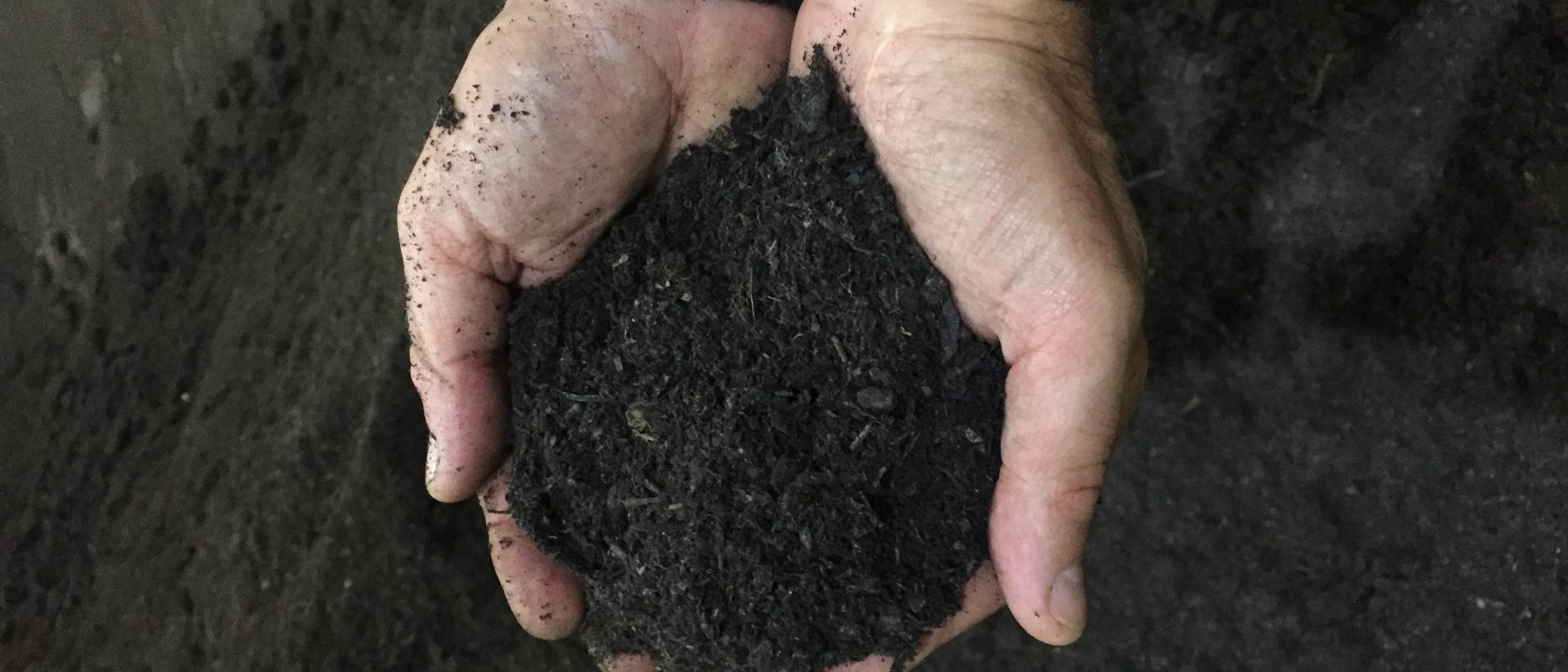 hands holding compost