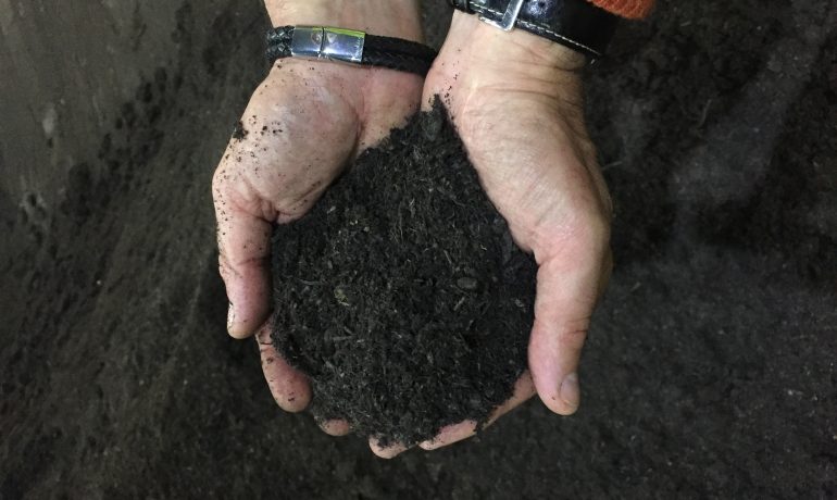 REA welcomes the Government’s ban on the sale of peat for amateur horticulture by 2024