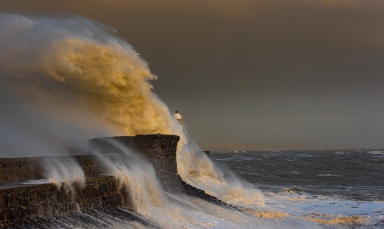 REA call for more renewables as climate crisis’ economic hit revealed