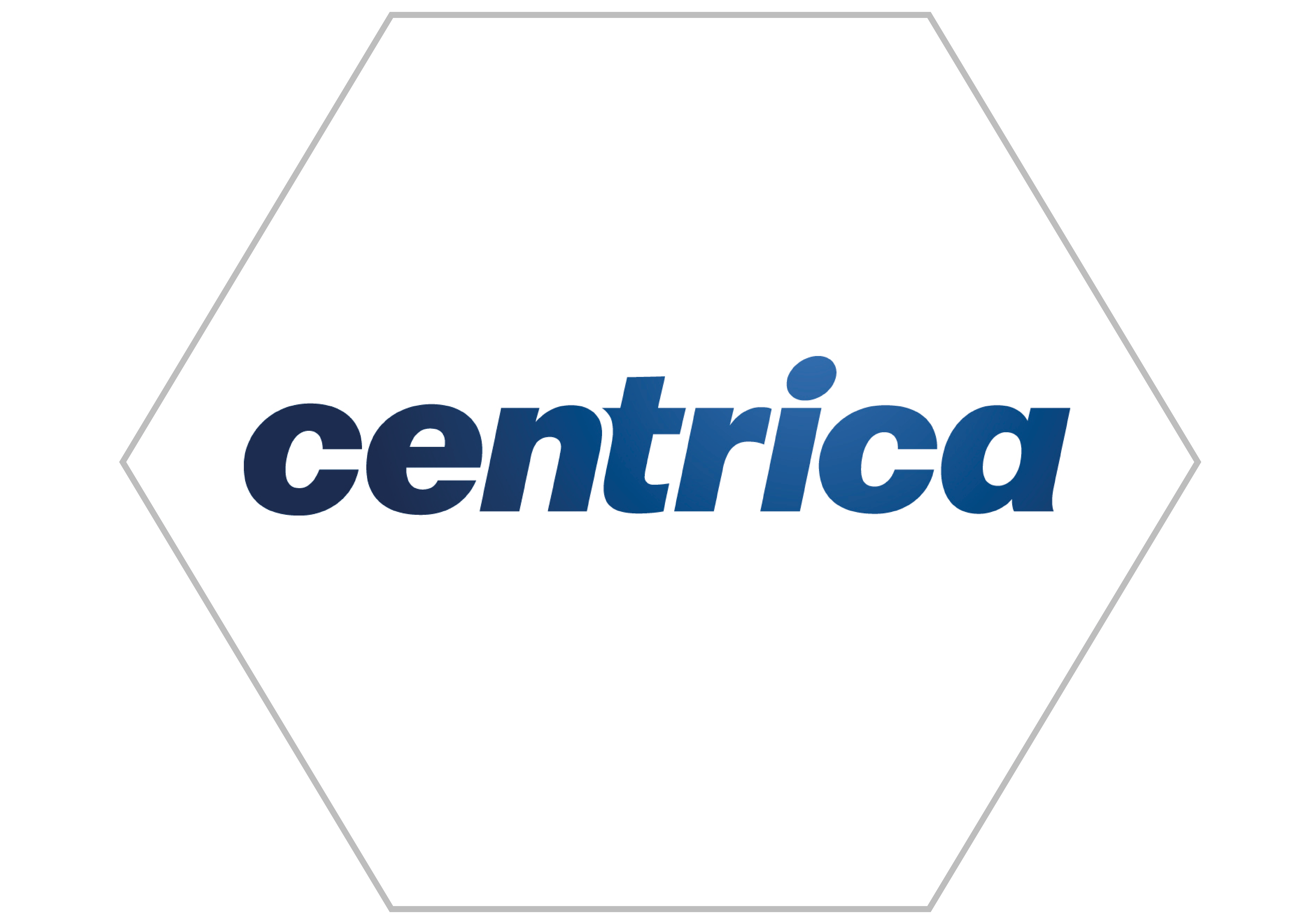 Business Partner Logo