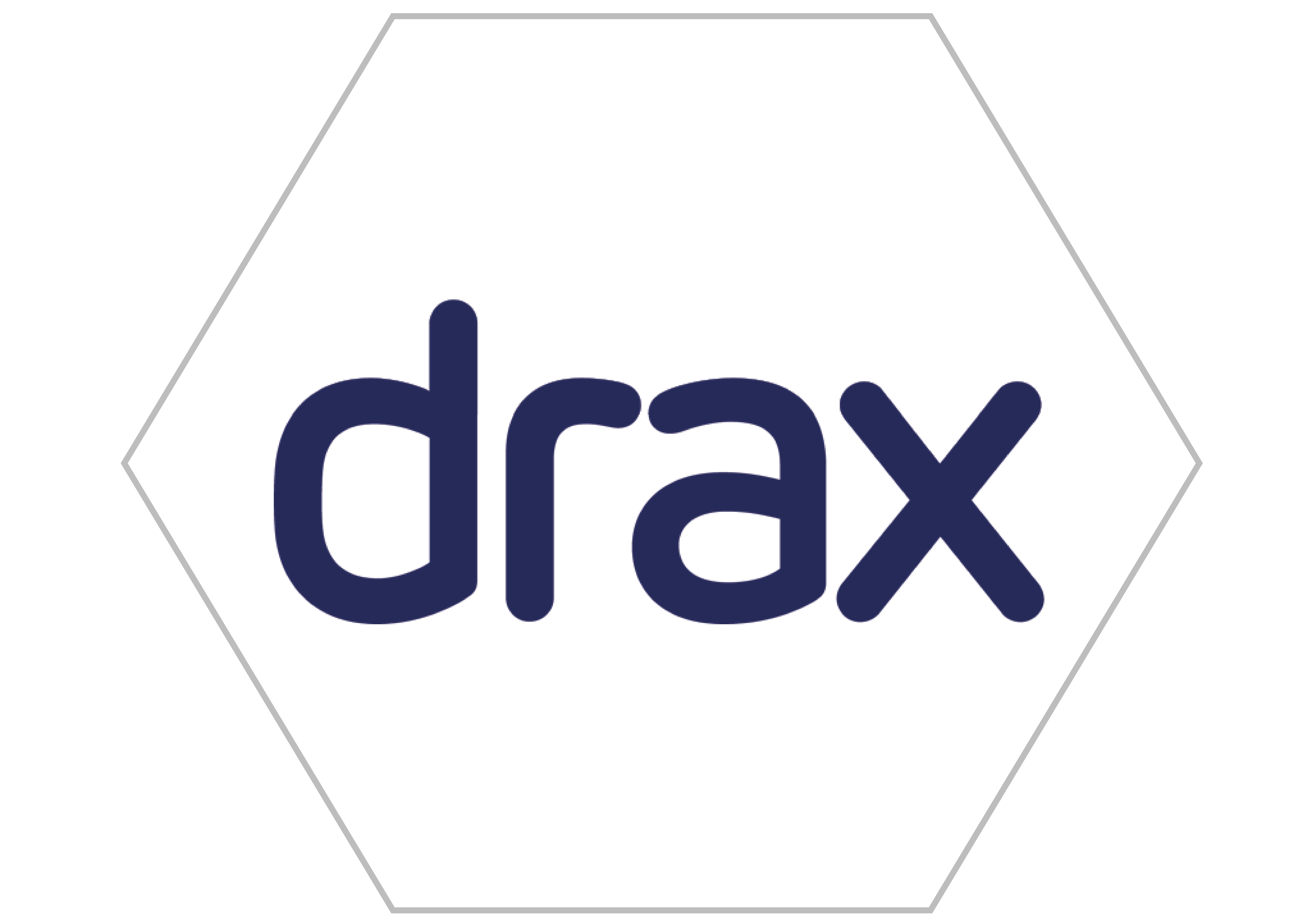 Business Partner Logo