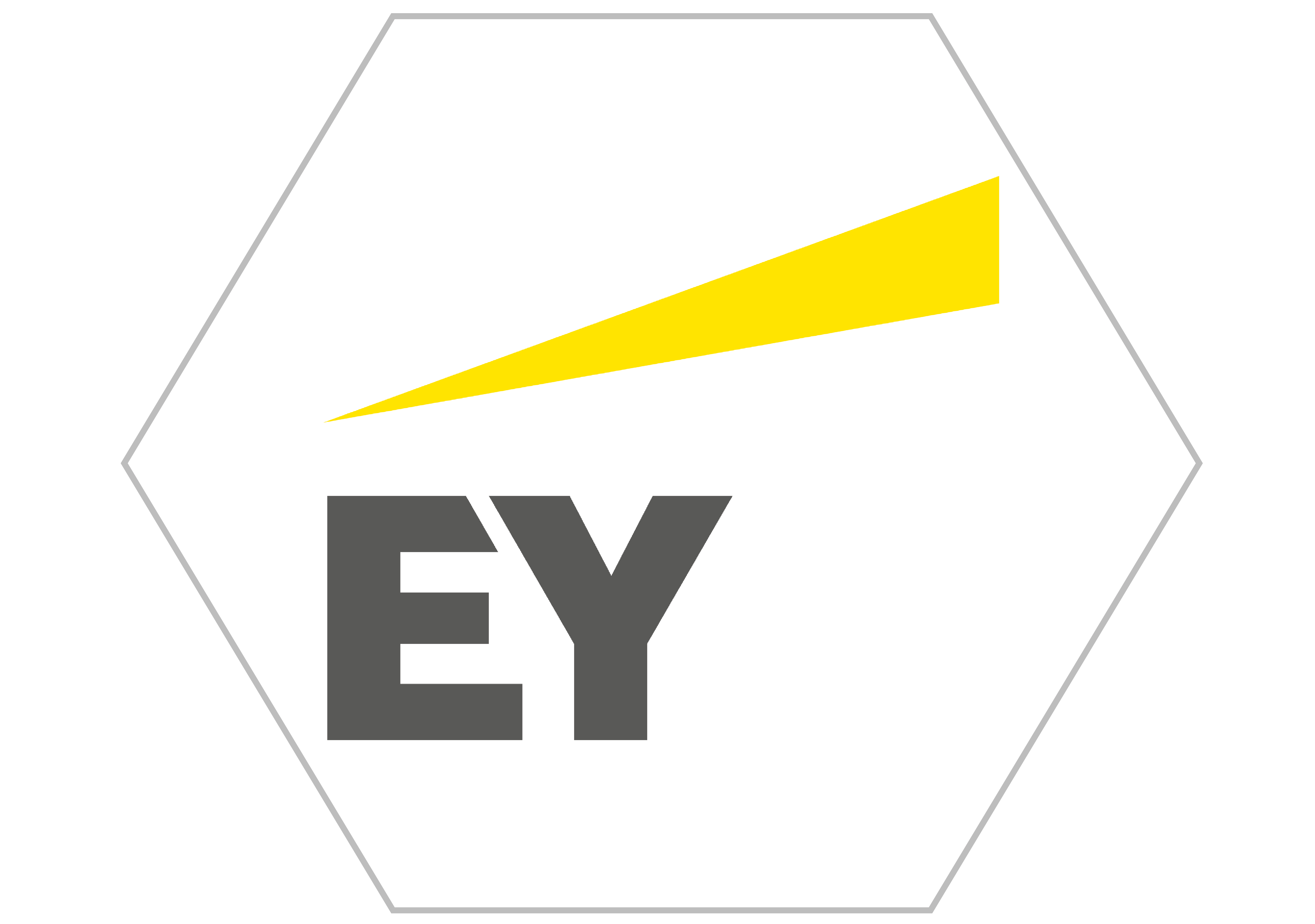 Business Partner Logo