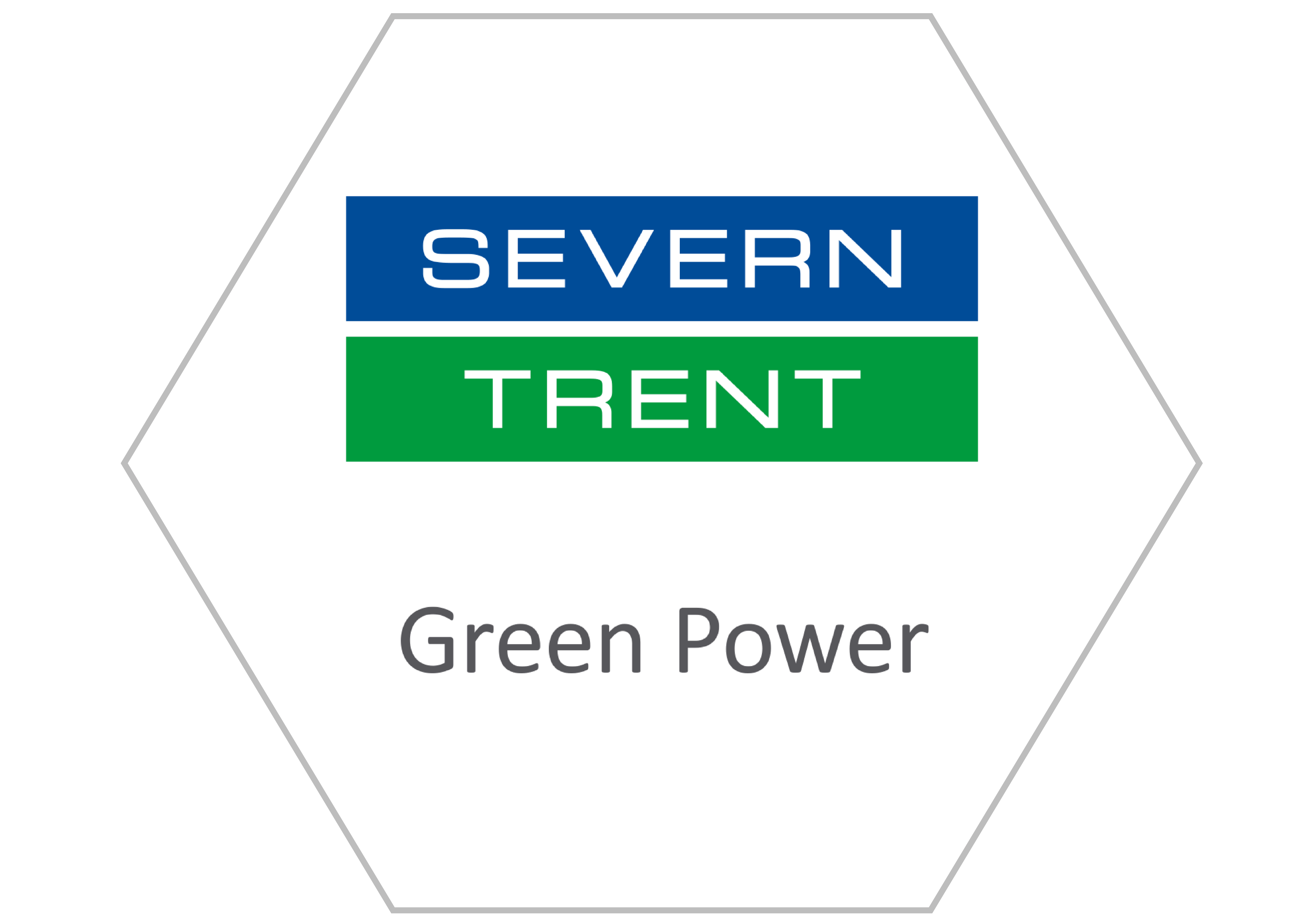 Business Partner Logo