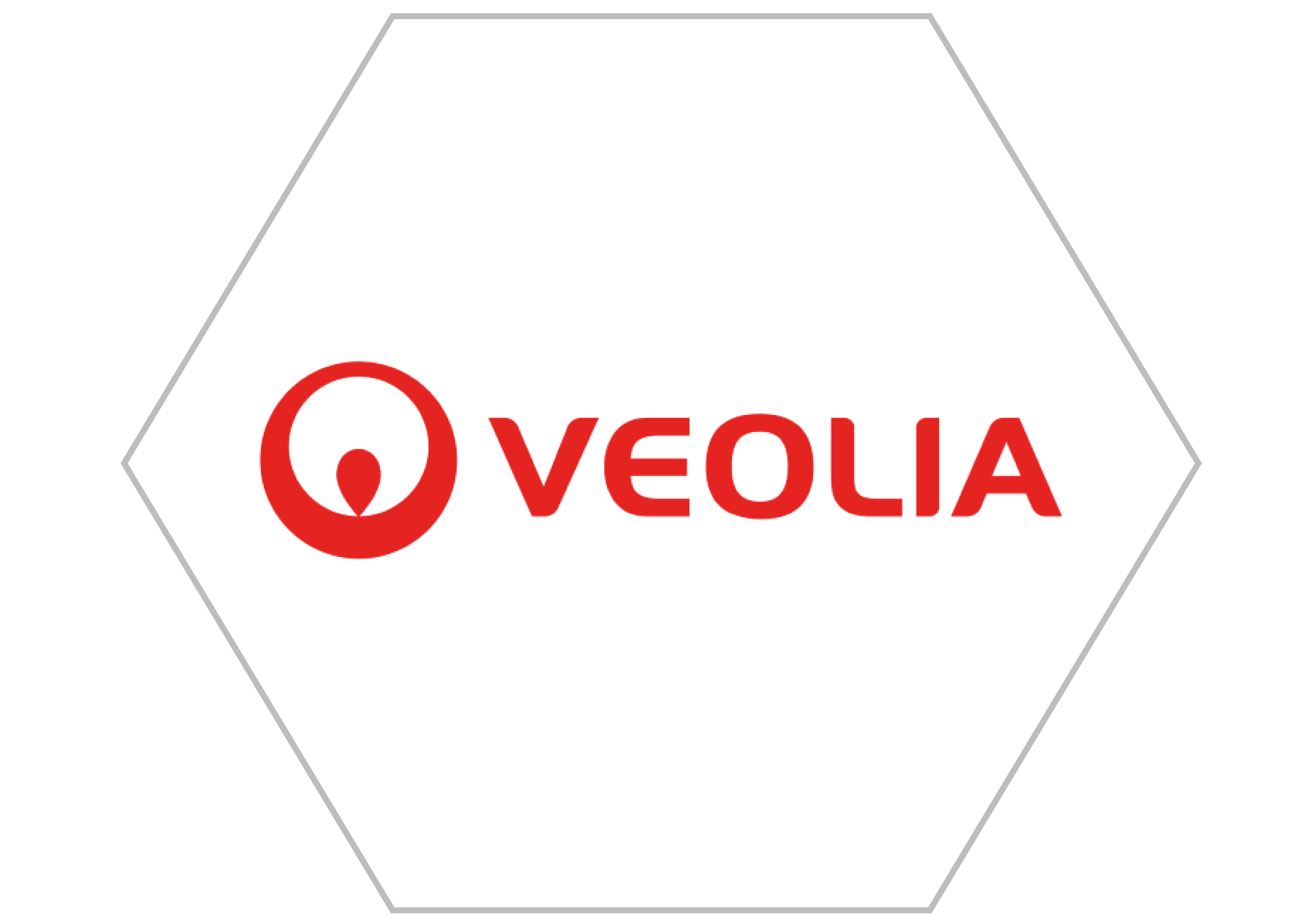 Business Partner Logo