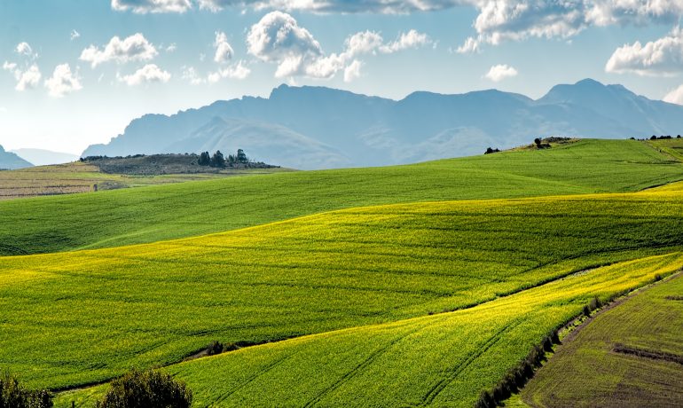 REA cautiously welcomes COP28 deal