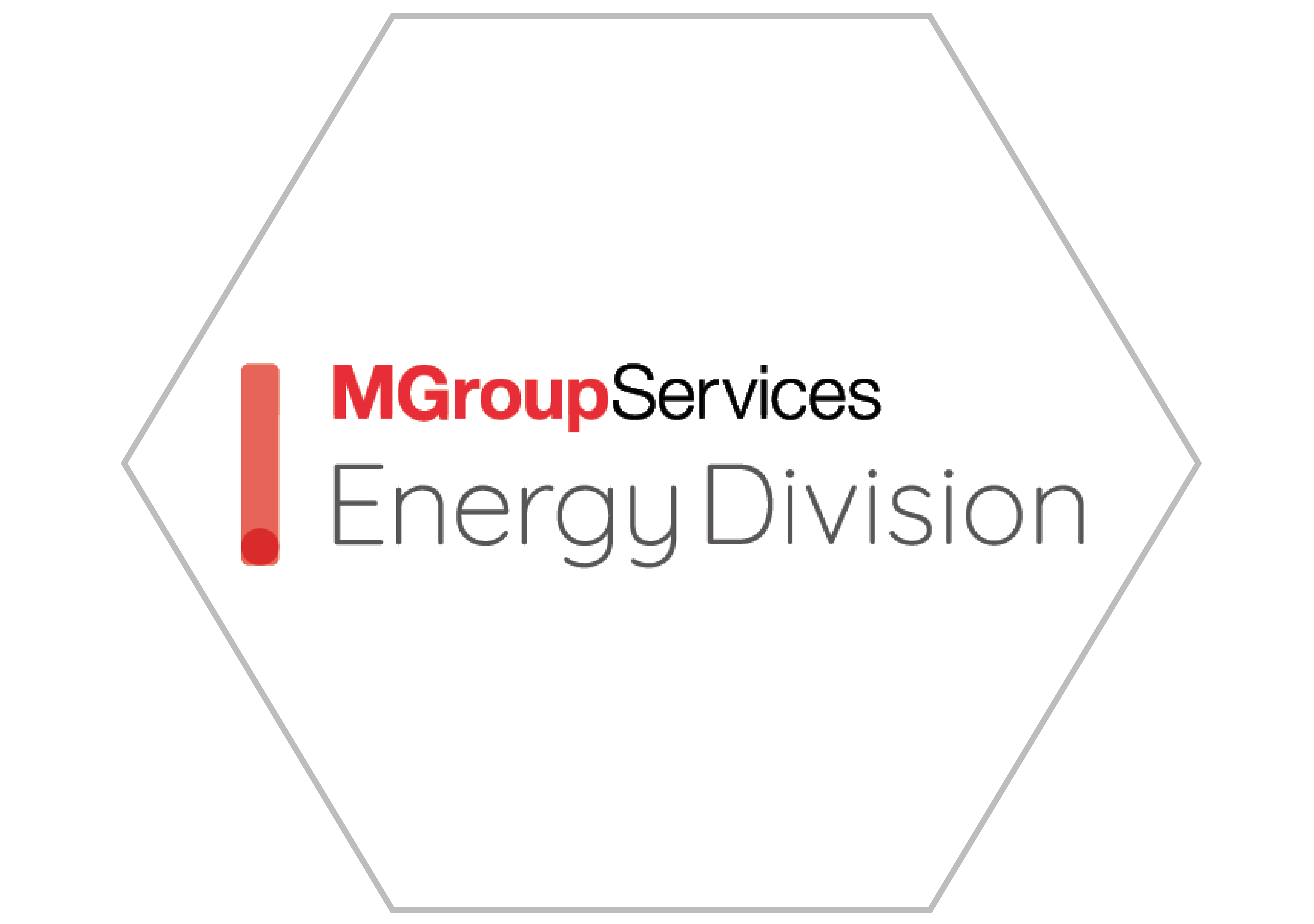 Business Partner Logo
