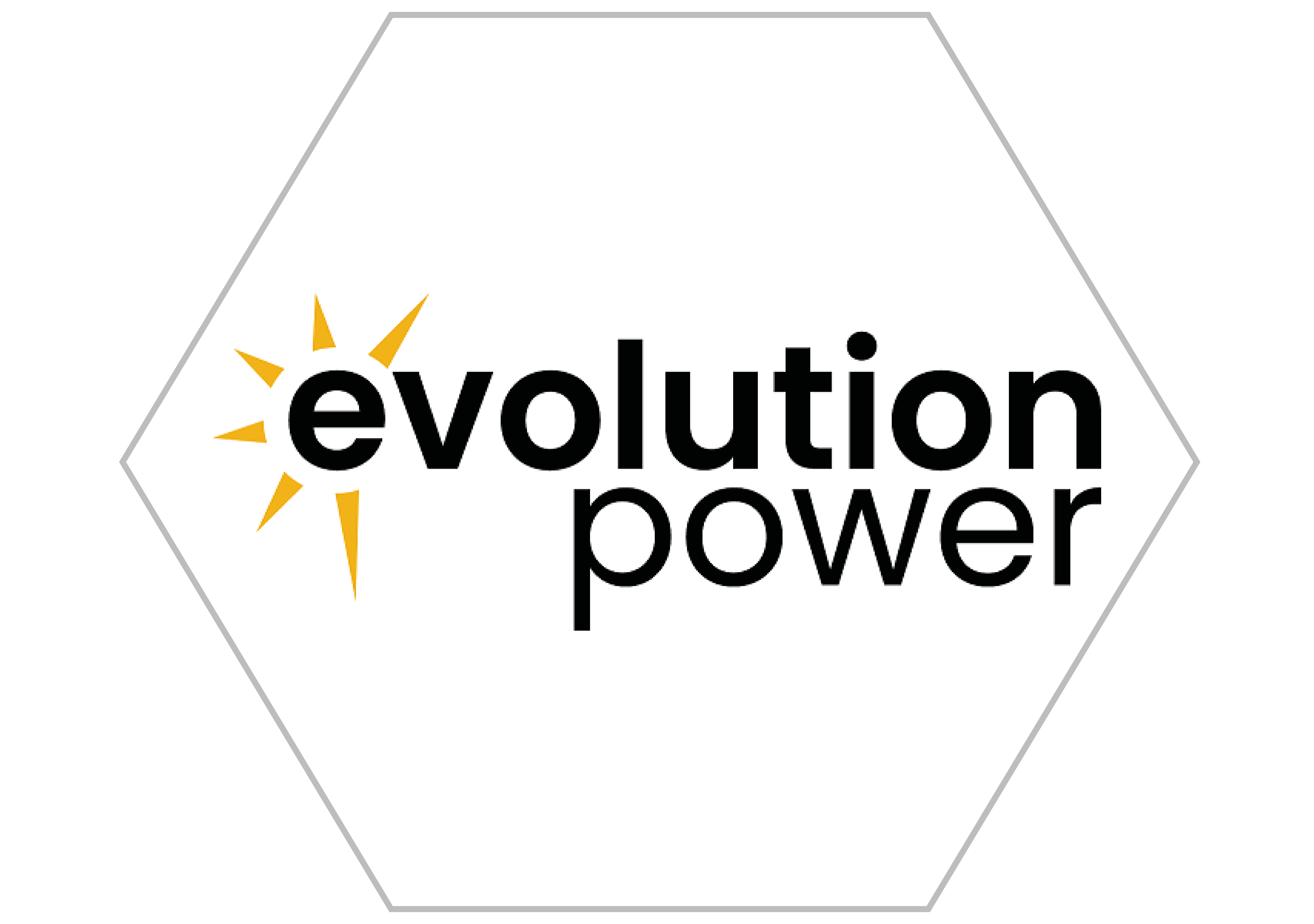 Business Partner Logo