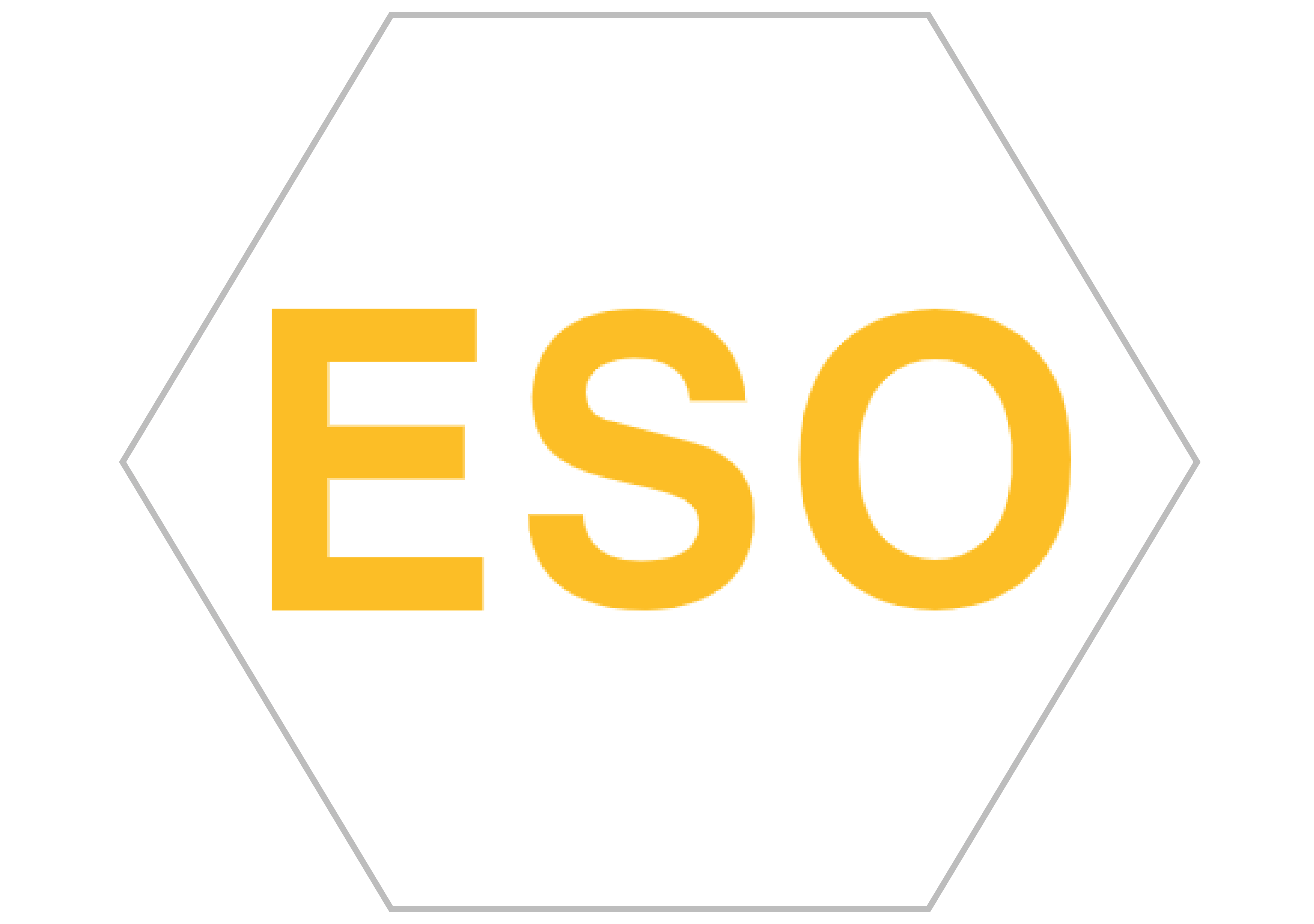 Business Partner Logo