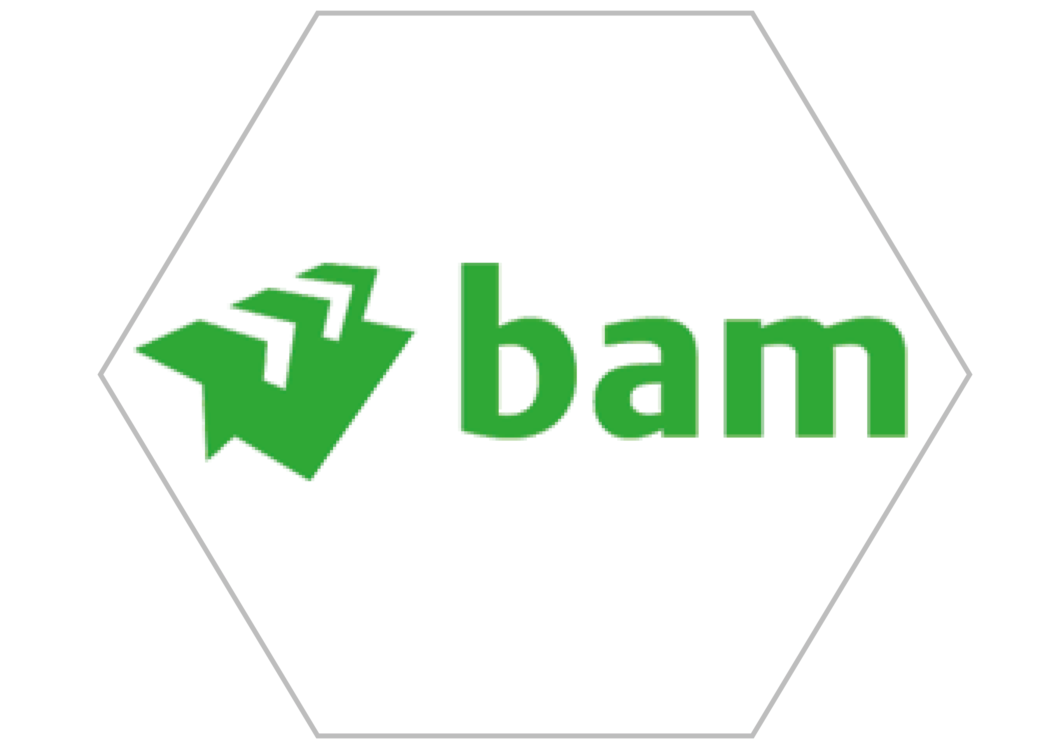 Business Partner Logo