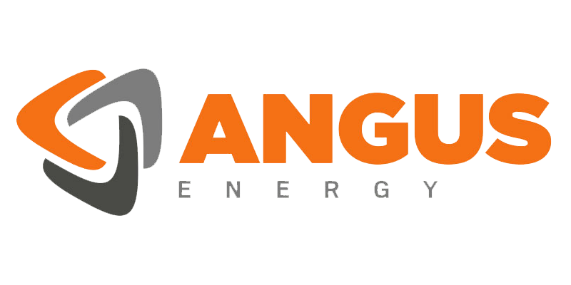 Business Partner Logo