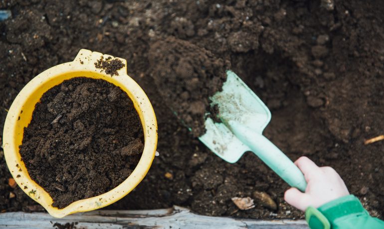 International Compost Awareness Week 2024 – Nature’s Climate Champion