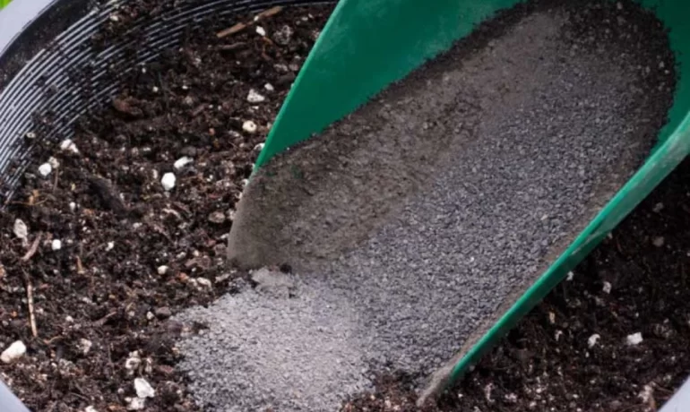 The Role of Enhanced Weathering and Rock Dust-Amended Compost