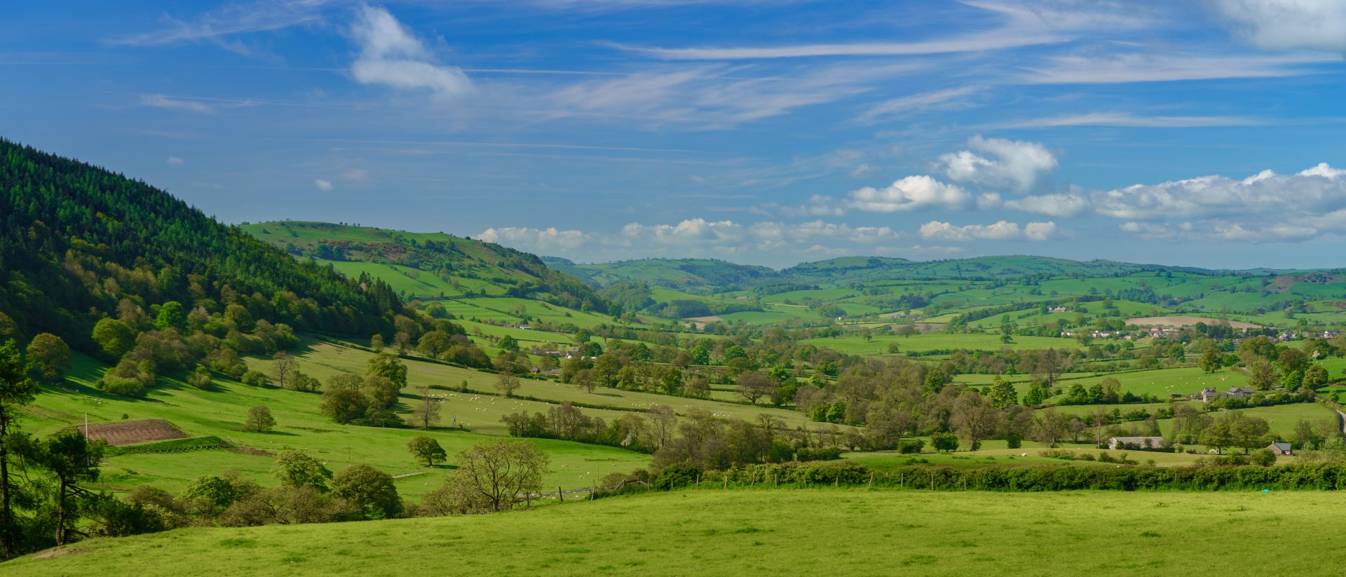 Panorama over typical english or welsh farming country